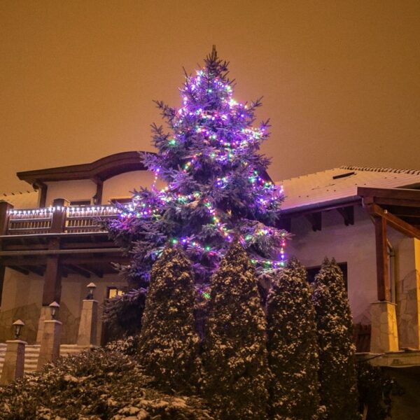 1571404920-256965-big