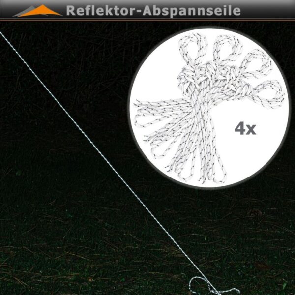 1648041231-754224-big