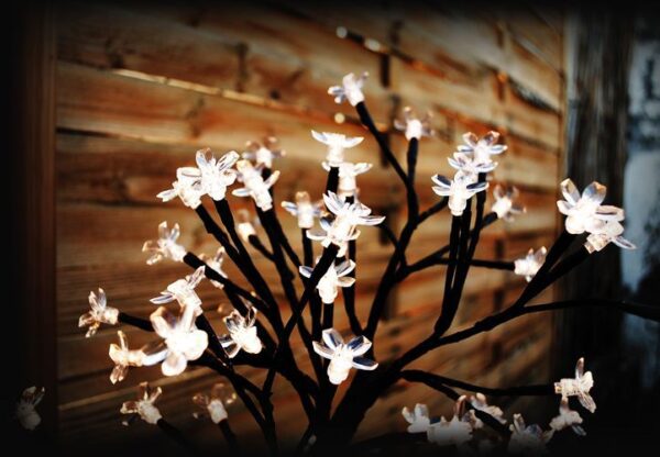 1461439633-339724-big