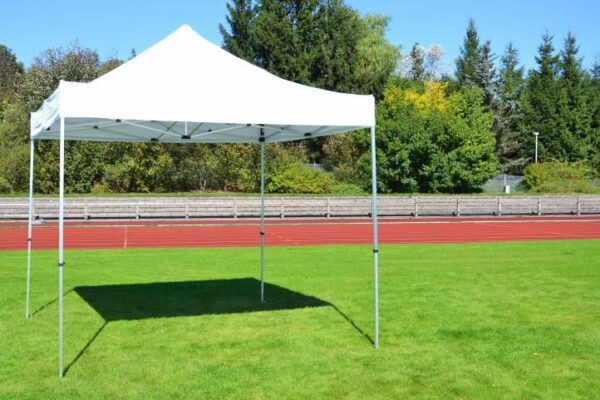 1461443276-563241-big