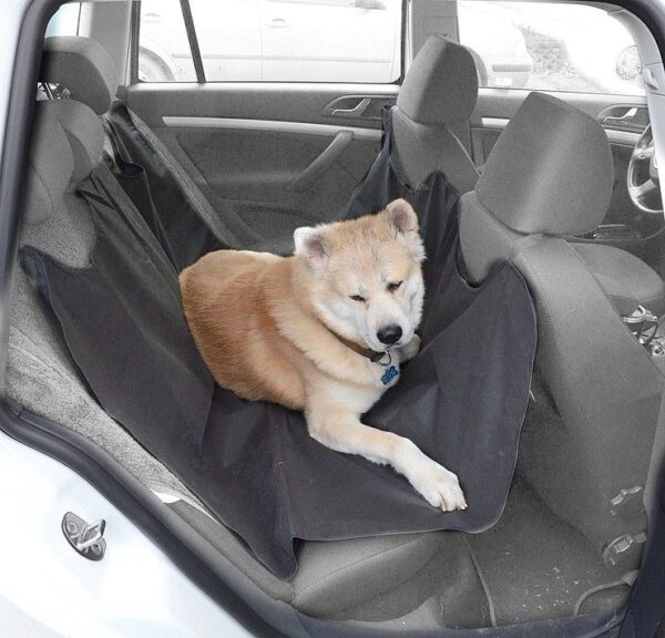 1571667181-358328-big