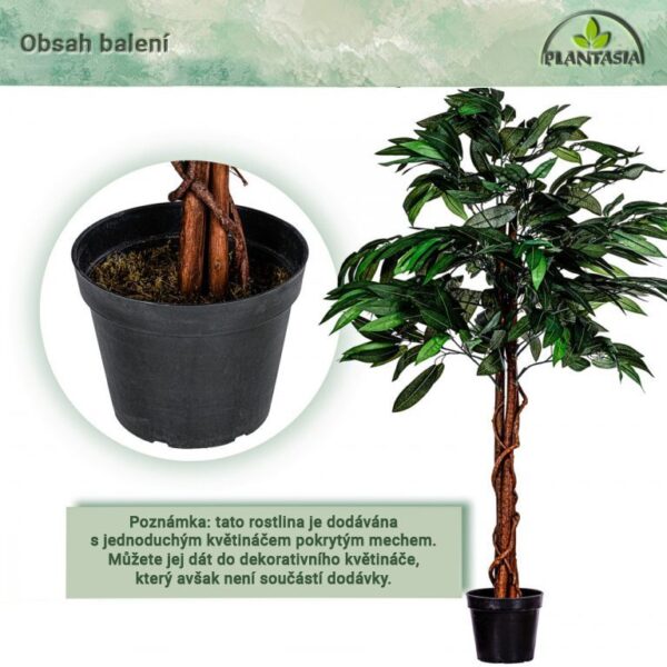 1632913669-761597-big