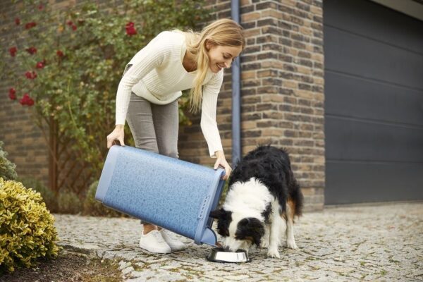 1662609417-52920-big