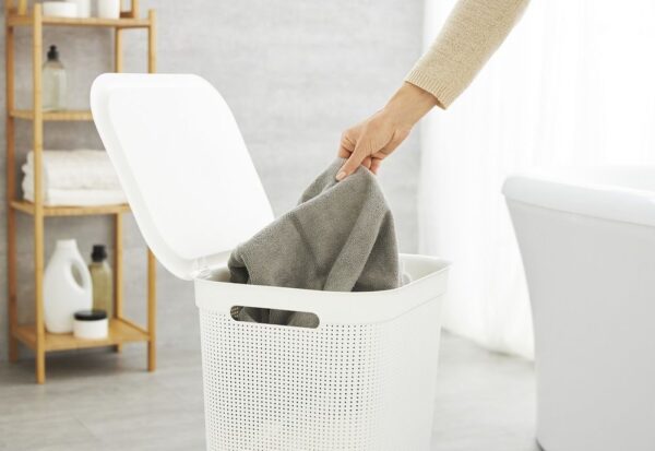 1663488462-509721-big