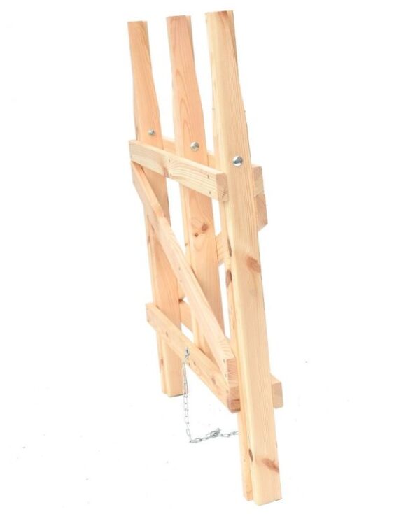 1668661002-204804-big