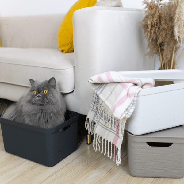 1668747476-164196-big