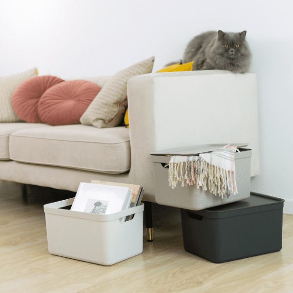 1668747476-816928-big