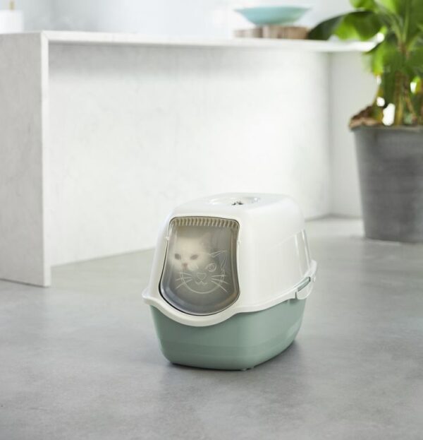 1661226999-311481-big