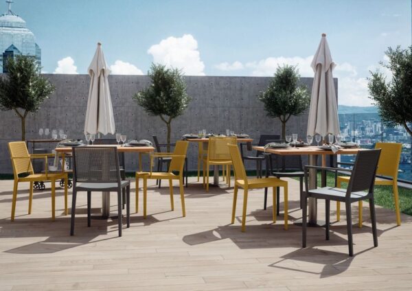 1667222679-789268-big