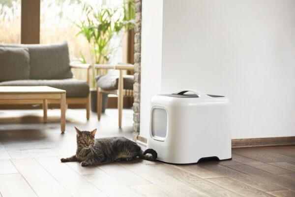 1658807800-109531-big