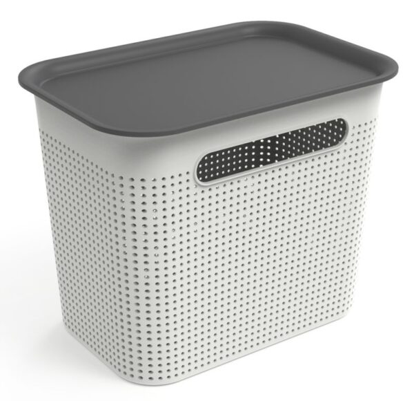 1677733036-61245-big