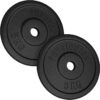 PHYSIONICS Sada činkových kotoučů 2 x 5 kg, litina, 31 mm