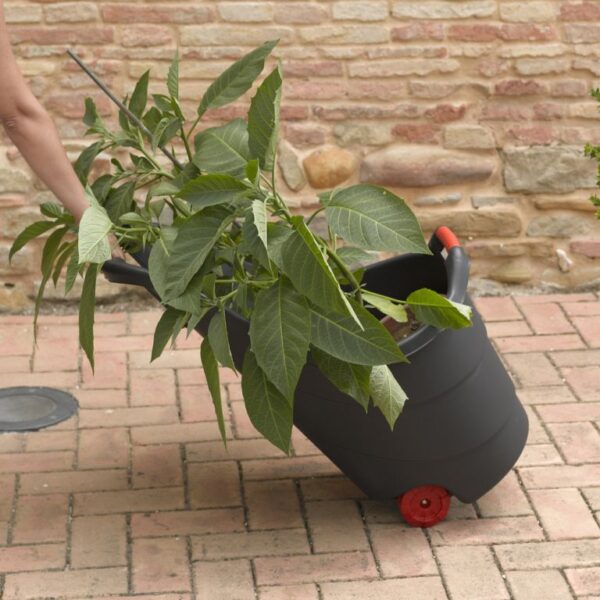 1697514979-965062-big