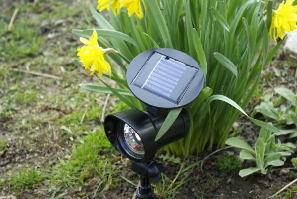 1461439387-691805-big