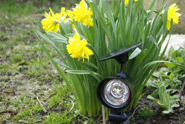 1461439387-697698-big