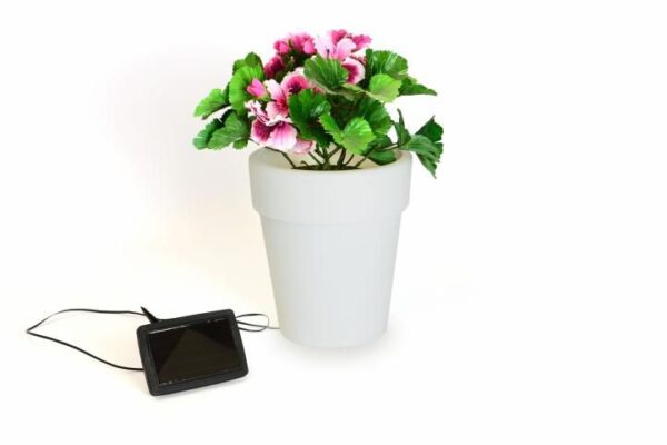 1518597504-363660-big