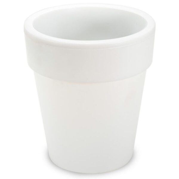 1585308539-236896-big