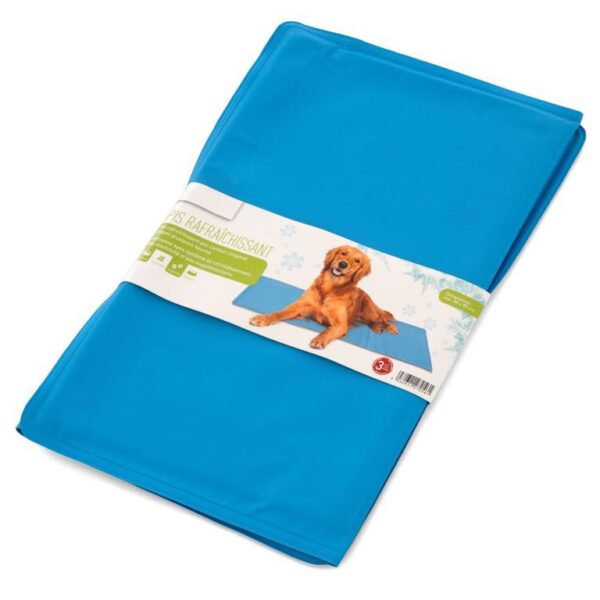 1619510733-170845-big