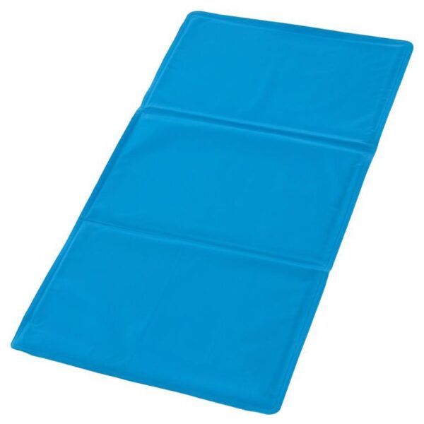 1619510733-927624-big