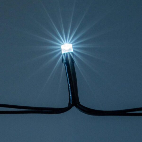 1648117892-746245-big