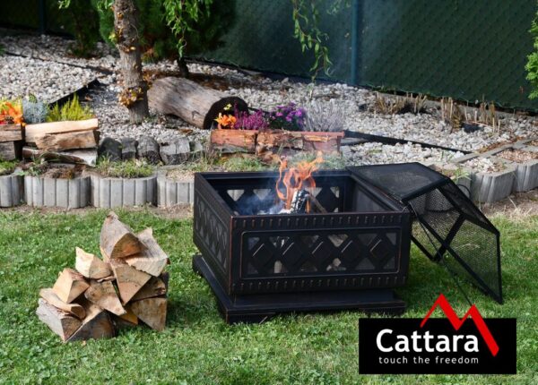 1647242666-535863-big