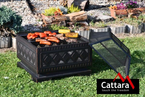 1647242666-67145-big