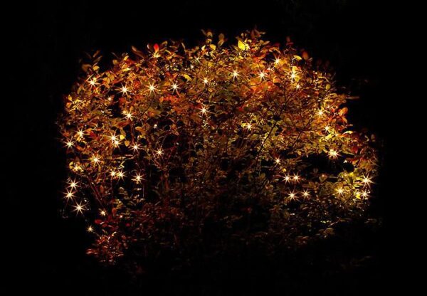 1505229912-260640-big