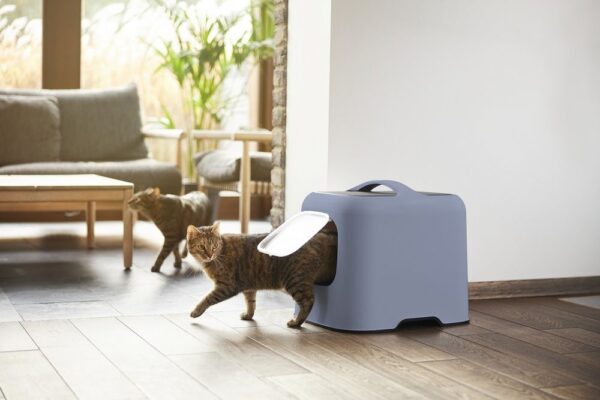 1657684609-145427-big