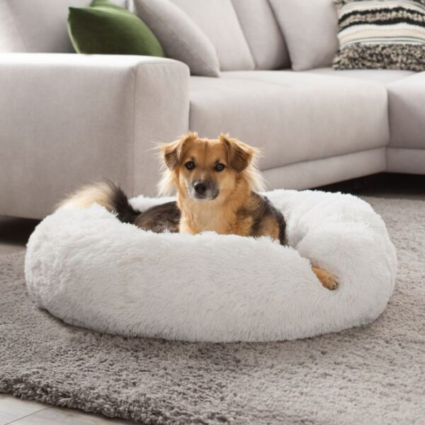 1652417546-21851-big