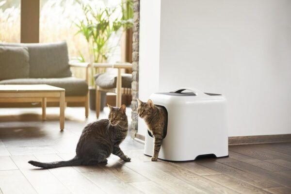 1658807800-268373-big