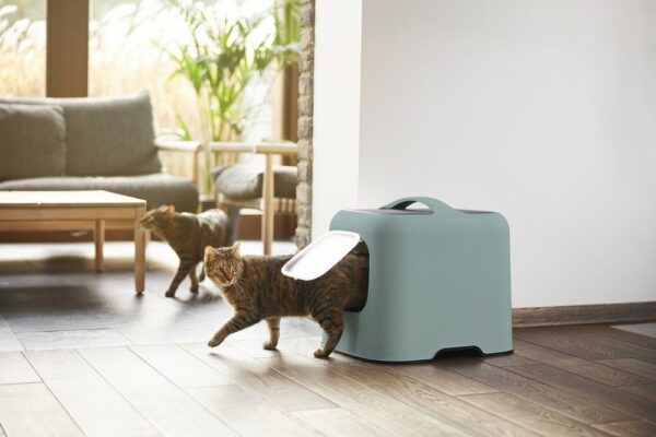 1657684607-510065-big