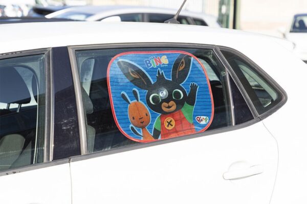 1728377181-574036-big