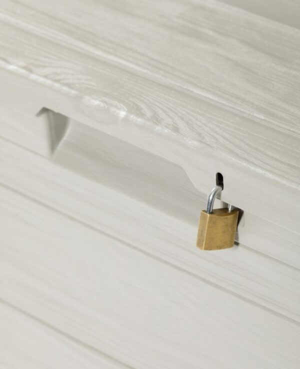 1729051064-993969-big