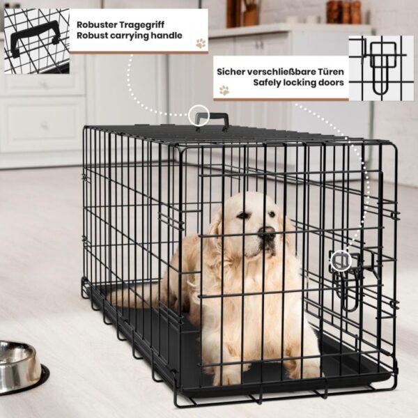 1727923938-428895-big