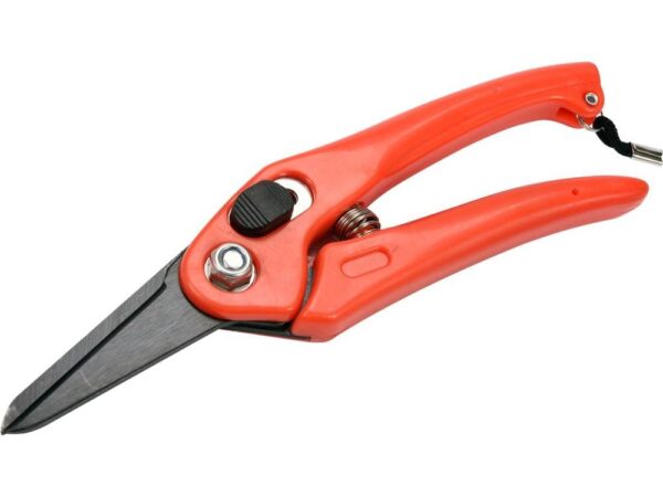 1728376937-50169-big