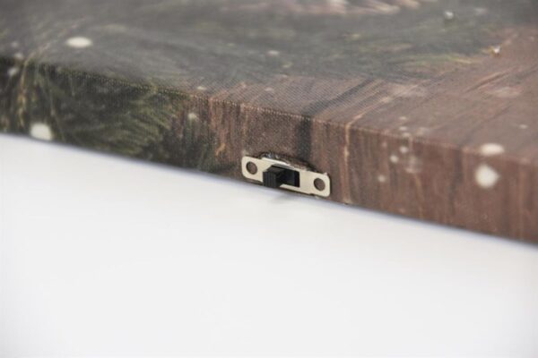 1736411755-467113-big