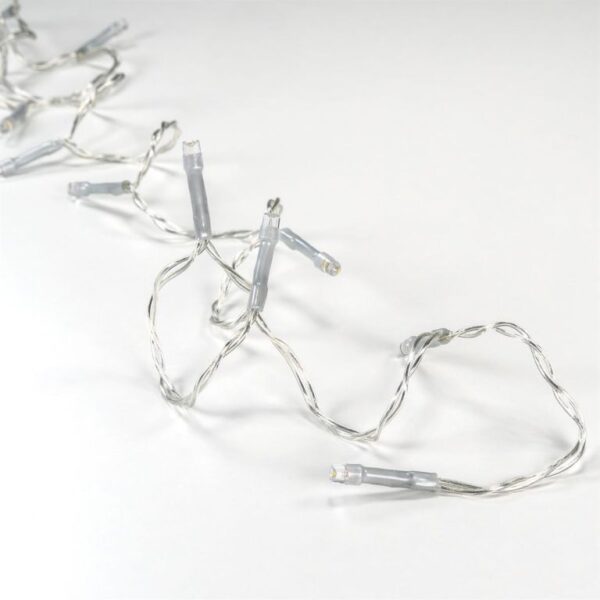 1737014961-462437-big