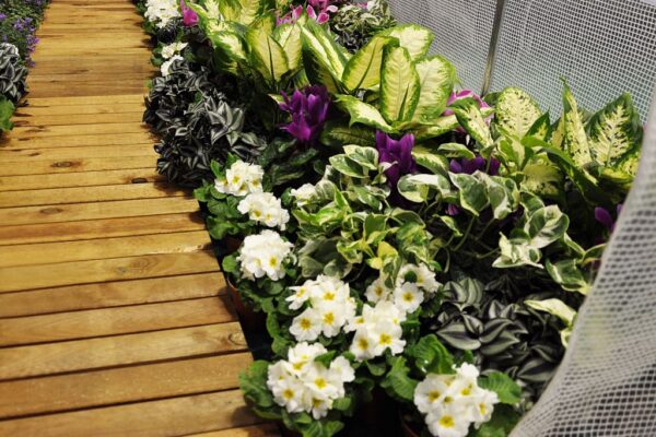 1553843901-725873-big