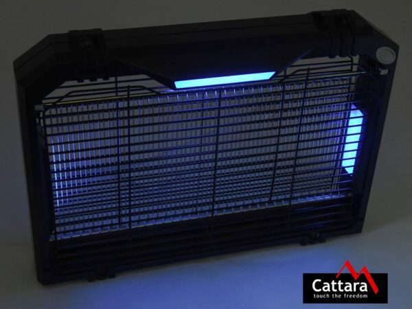 1592301294-814992-big