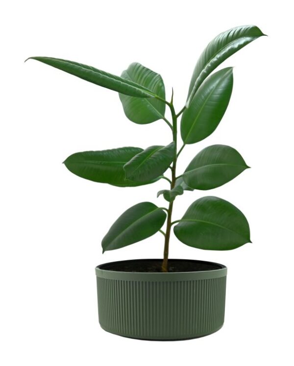 1740484247-132963-big