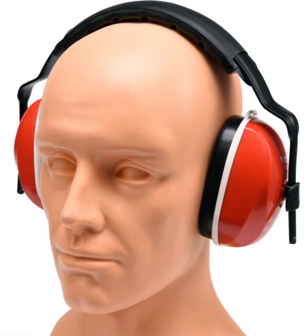 1740489724-261195-big