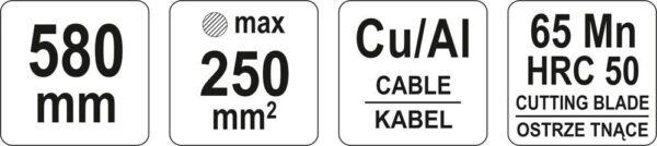 1555494833-479252-big