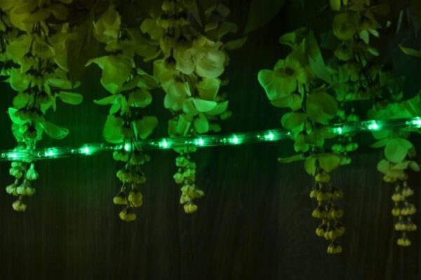 1572800221-118858-big