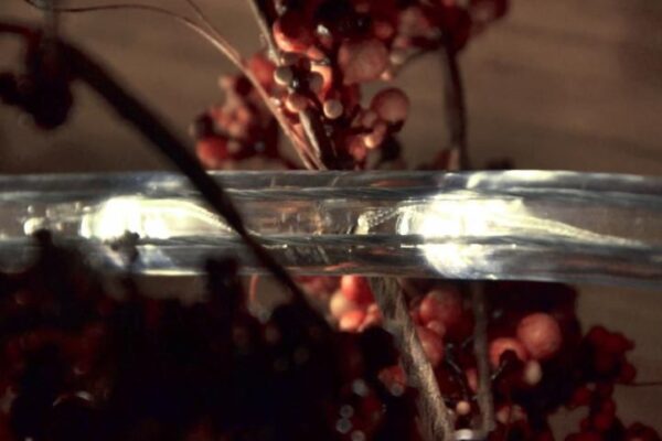 1572800366-577531-big