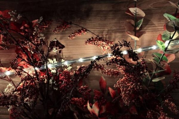 1572800366-731516-big