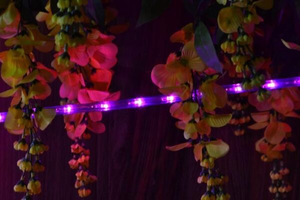 1572800529-528871-big