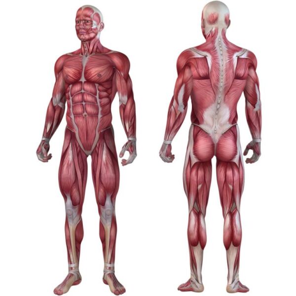 1485426880-824742-big