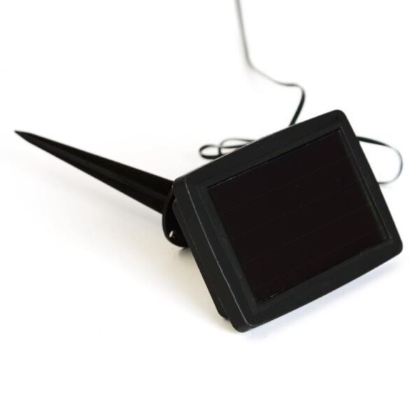 1747142202-923575-big