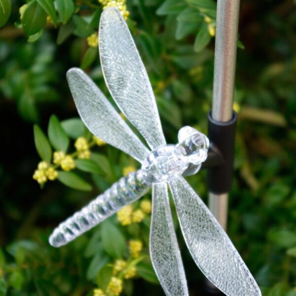 1747143364-16890-big