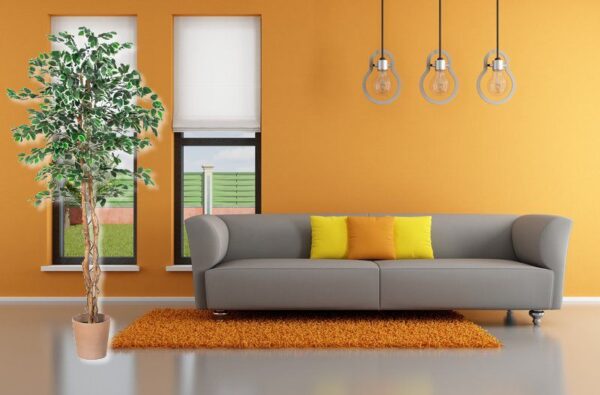 1497002315-672832-big